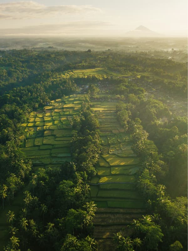 Ubud